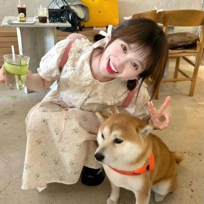大明湖畔有人家 在线观看封面